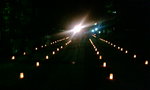 20080813202418.jpg