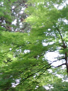 20080628140140.jpg