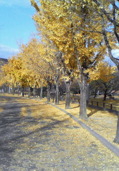 200712040857000.jpg