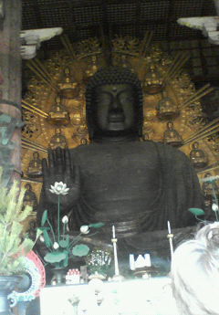 200802111629000.jpg